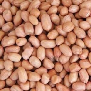 Peanuts