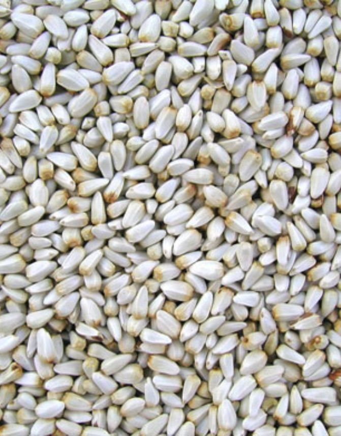 Safflower seeds