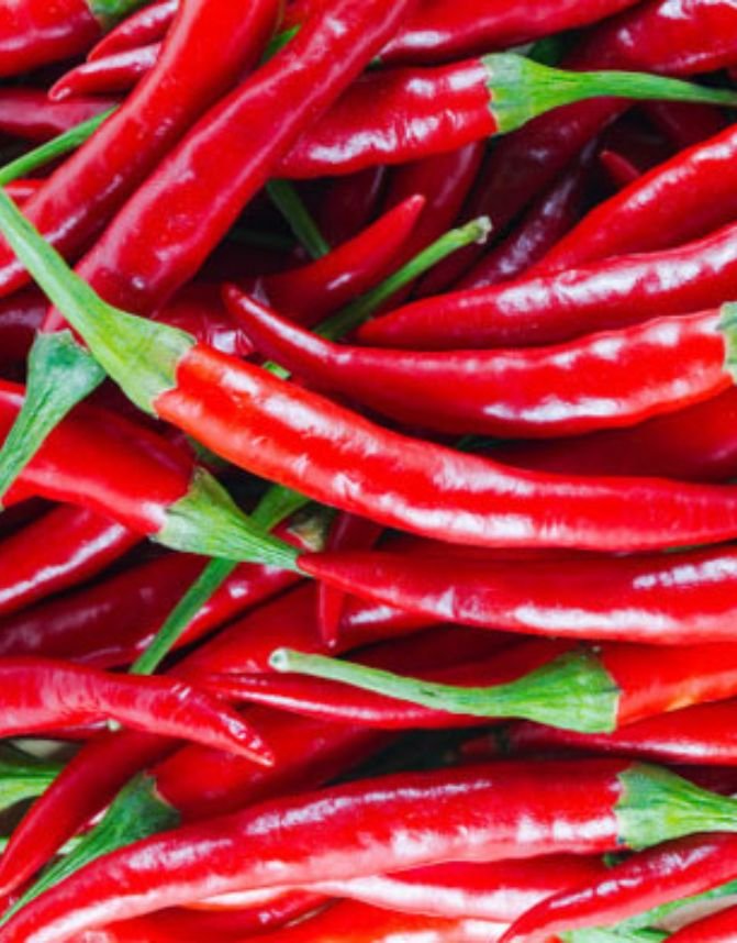 Fresh Red Chilli