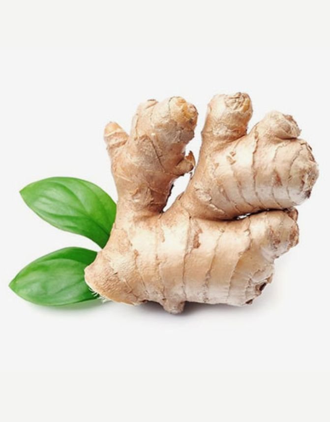 Ginger