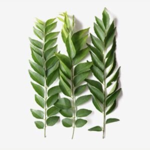curry leaf