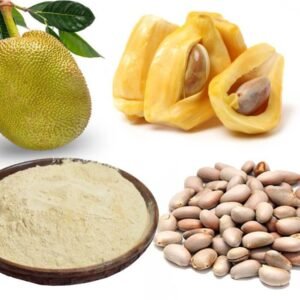jackfruit powder