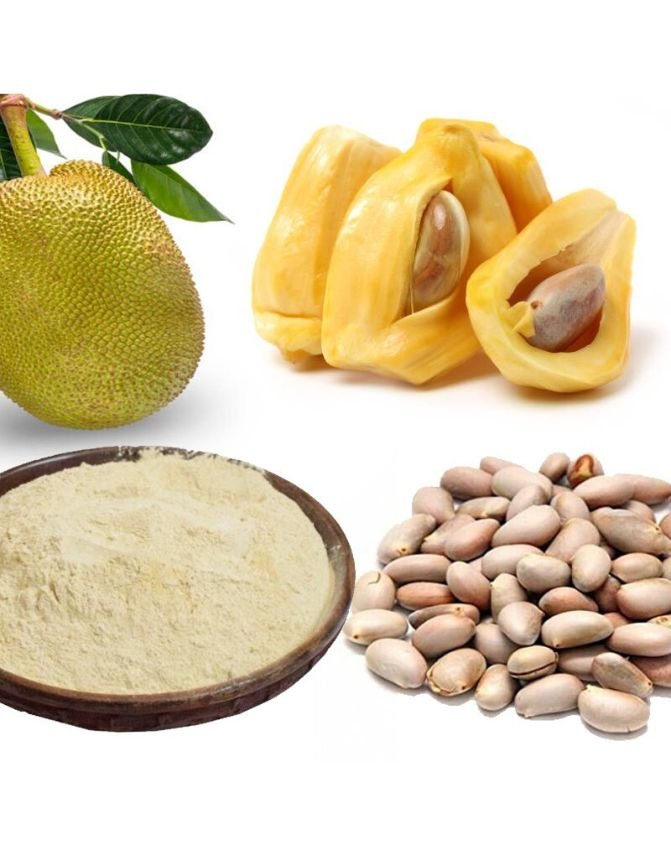 Jackfruit Powder