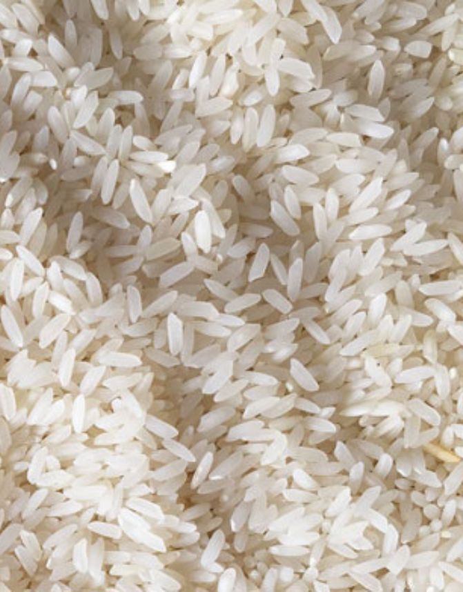 Sona Masoori Rice - AVIAN Global