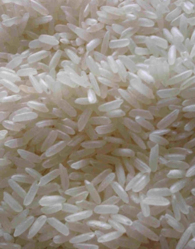 Swarna Rice