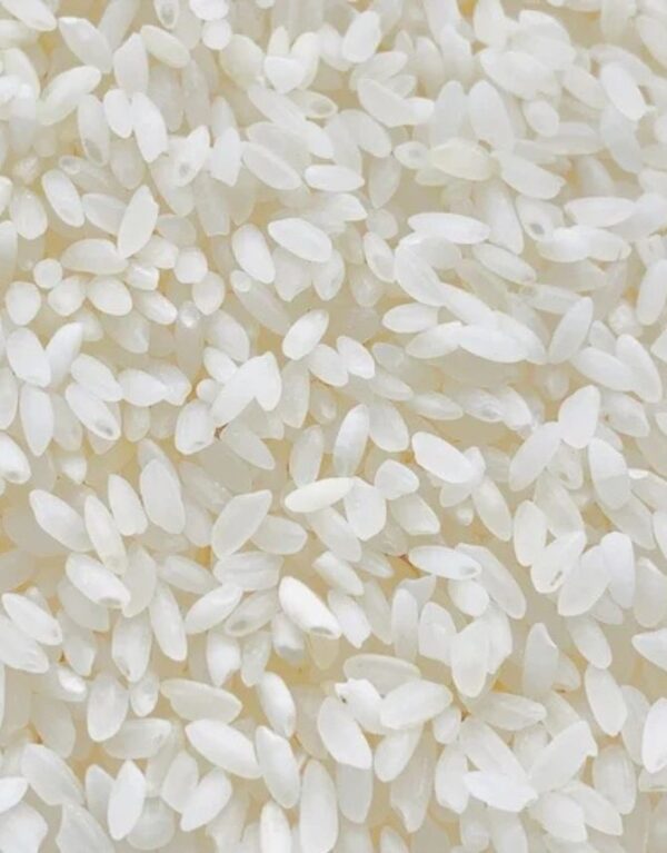 Narayana Kamini Rice - AIVAN Global
