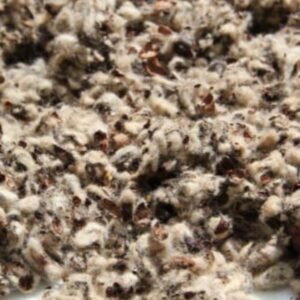 Cotton Seed Hull