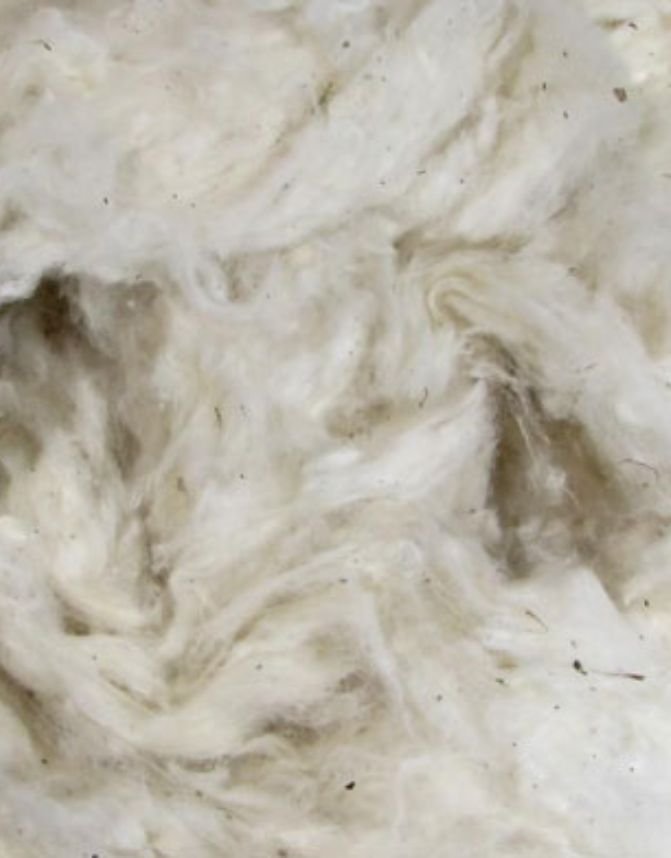 Raw Cotton