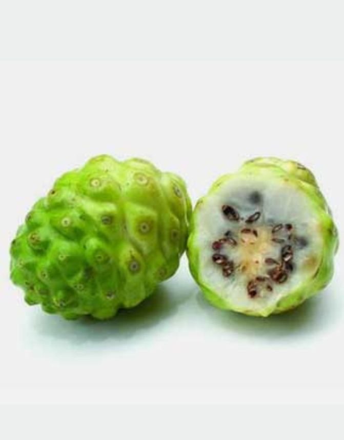 Noni Extract