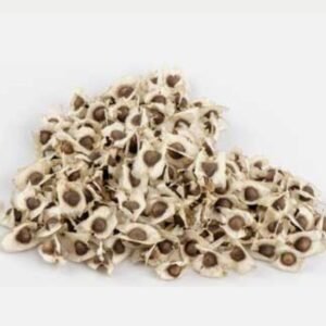 Moringa Seeds