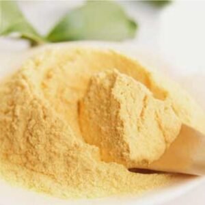 Papaya Leaf Powder